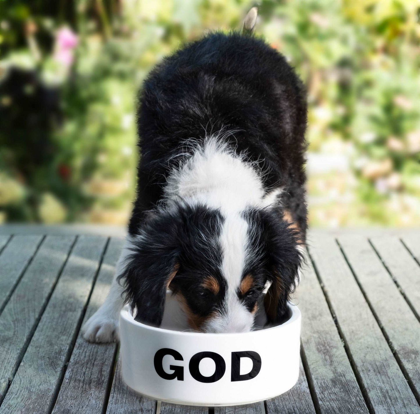 Ligorano Reese's ceramic Holy Chow dog bowl. Signed edition of 500 with gift box. From Artware Editions and Pure Products USA.