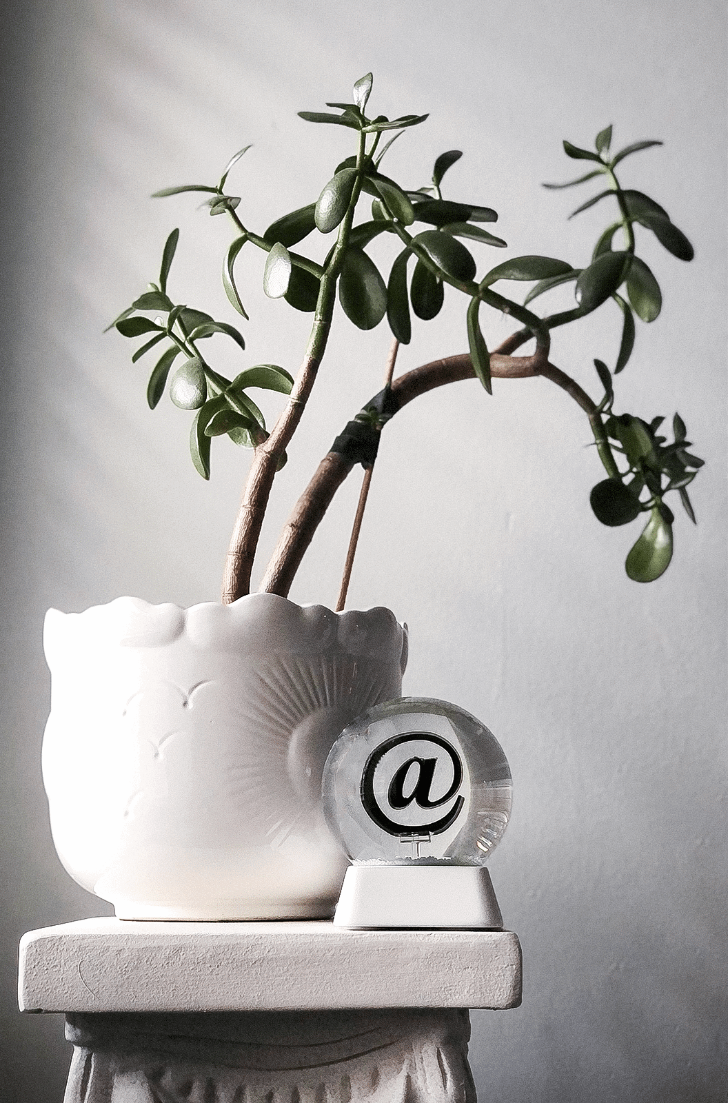 Ligorano Reese's @ snow globe with IBM white base with potted plant and pedestal. From Pure Products USA. 4 inch glass snow globe.