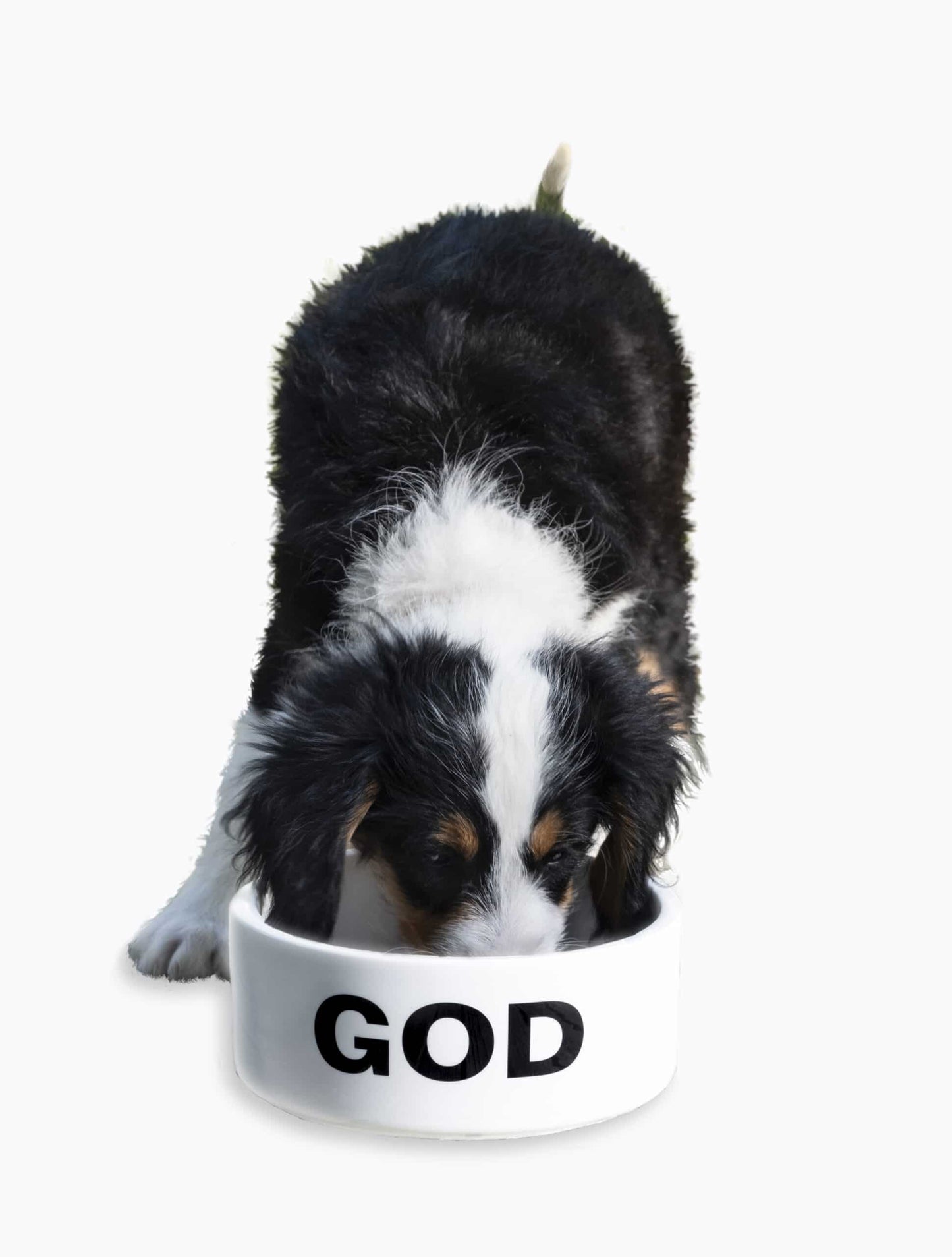 Ligorano Reese's ceramic Holy Chow dog bowl. Signed edition of 500 with gift box. Dishwater safe. From Artwork Editions.