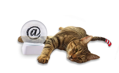 The @ and the Cat. Ligorano Reese's @ snow globe with base in IBM white. From Pure Products USA. 4-inch glass snow globe.