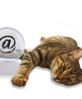 The @ and the Cat. Ligorano Reese's @ snow globe with base in IBM white. From Pure Products USA. 4-inch glass snow globe.
